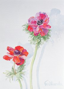 Anemone, 1998 (wc på papir) (se 124451) av Izabella Godlewska de Aranda