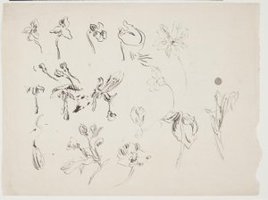 Blomsterskitser av J.A. Jerichau
