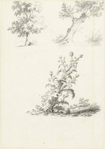To studier av et tre og en tistel av J.B. Joss (attributed to)