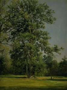 En eik. Utsikt over hagen ved Wörlitz nær Dessau av Johan Christian Dahl