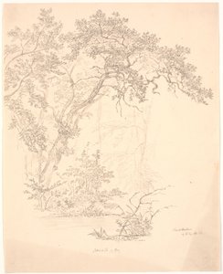 Trær av J.P. Møller