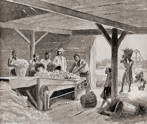 Slaver som arbeider med en bomullsgin fra 1800-tallet på en plantasje i en sørlig delstat i USA, fra 