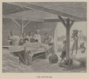 Bomullsginen (litho)