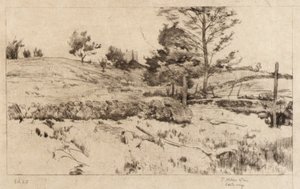  av J. Alden Weir