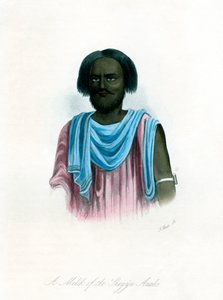 En Melik fra Shegyia-araberne, c1840. av J. Bull