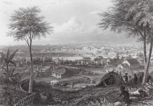  av J. C. Armytage