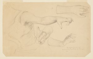 Studies of Hands for Dome of Manufactures og Liberal Arts Building, World's Columbian Exposition, Chicago, IL