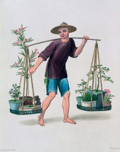 'En portør med frukttrær og blomster', Kina, 1800 av J Dadley