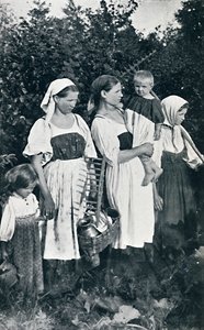 Bondetyper av Stor-Russland, 1912 av J. Daziaro