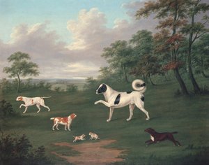 Sportslige hunder i et landskap av J. Francis Sartorius