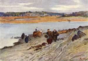 Tangsamling på elvemunningen til Rance (farge litho)