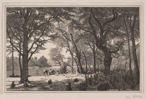 Jylland skogfest av J. Hildebrand
