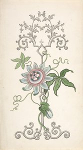 Design for paneldekorasjon sentrert på en lidenskapsblomst, 1828-40. av J Hulme