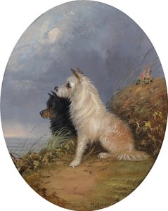 To hunder på stranden av J. Langlois