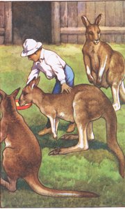 Australsk gutt, fra MacMillan skoleplakater, ca. 1950-60-tallet (farge litho) av J. Macfarlane