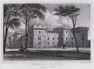 Enmore Castle, Somersetshire (gravering) av John Preston Neale