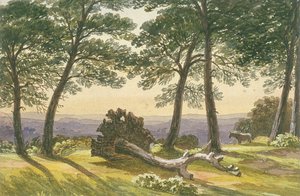 Hampstead Heath, London, c1830 av J Powell