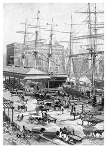 Shipping, Circular Quay, Sydney, New South Wales, Australia, 1886.