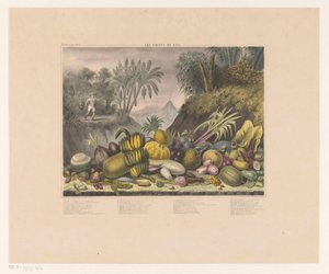 Javanesiske frukter Les fruits de Java (tittel på objekt) av J. Schnell
