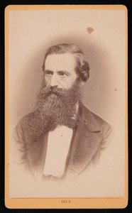 Portrett av Mordecai Cubitt Cooke 1825-1914, 1873. av J Stegmann