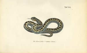  av J. W. Tenhaeff