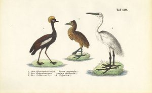  av J. W. Tenhaeff
