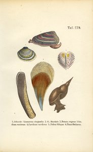  av J. W. Tenhaeff
