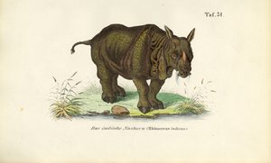  av J. W. Tenhaeff
