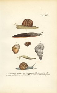  av J. W. Tenhaeff