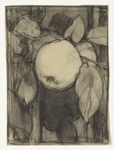 Keizer-Alexander appell