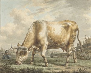 Beitende ku