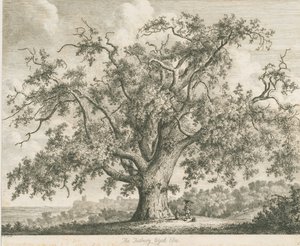 Tutbury - "Wych Elm": etsning, nd [c 1820] av Jacob George Strutt