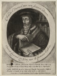 John Calvin av Jacob Gole
