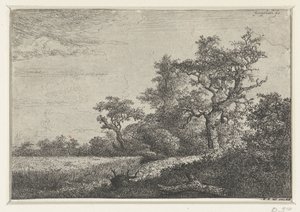 Kornåkeren av Jacob van Ruisdael