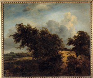 The Bush-maleriet av Jacob Isaakszoon van Ruisdael (Ruysdael) (1628-1682) 1600-tallet Sun. 0,68 x 0,82 m av Jacob van Ruisdael