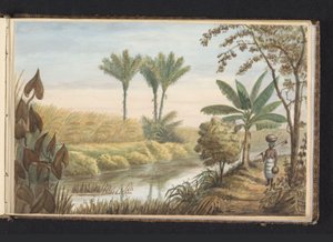Utsikt over åker med sukkerrørplantasje Visserszorg Felt med sukkerrør (tittel på objekt) Utsikt i bakken ved Visserszorg (tittel på objekt) Album med tegninger av Surinam, s.7 (50) (serietittel)