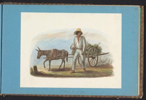 Mann med vogn med bananer Album med tegninger av Surinam, s.44 (50) (serietittel)