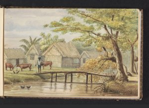 Slaveboliger på kaffeplantasjen SorgvlietSlavebolig (tittel på objekt)Utsikt over de svarte husene på plan(antage) Sorgvliet (tittel på objekt)Album med tegninger av Surinam, s.5 (50) (serietittel)