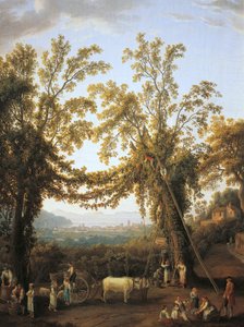 Høst, høsting nær Sorrento (olje på lerret) av Jacob Philippe Hackert