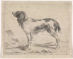 stående hund Hunder (serietittel)