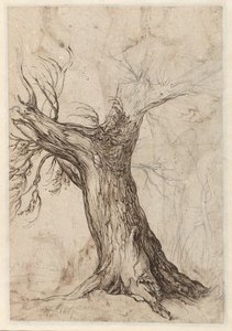 Kastanjetre med noen trær rundt av Jacob de Gheyn (II)