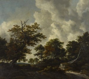 Skoglandskap med en stor eik og to falne bøketrær ved en foss av Jacob van Ruisdael