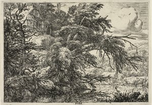 Hytte på toppen av en bakke av Jacob van Ruisdael