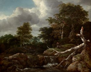 Skogscene, ca. 1655. av Jacob van Ruisdael