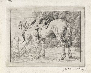 Salet hest bundet til en stang av Jacob van Strij
