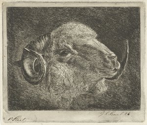 Hodet til en vær med horn vendt tilbake av Jacobus Cornelis Gaal (signed by artist)