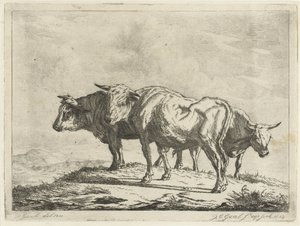 Tre okser av Jacobus Cornelis Gaal