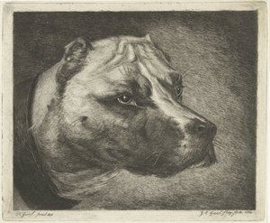 Hundehode med halsbånd av Jacobus Cornelis Gaal