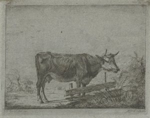 Ku som står ved et gjerde av Jacobus Cornelis Gaal