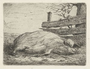 Liggende villsvin av Jacobus Cornelis Gaal